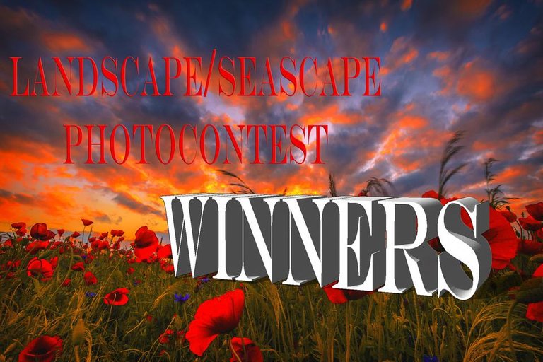 LandscapeSeascape-WINNERS.jpg