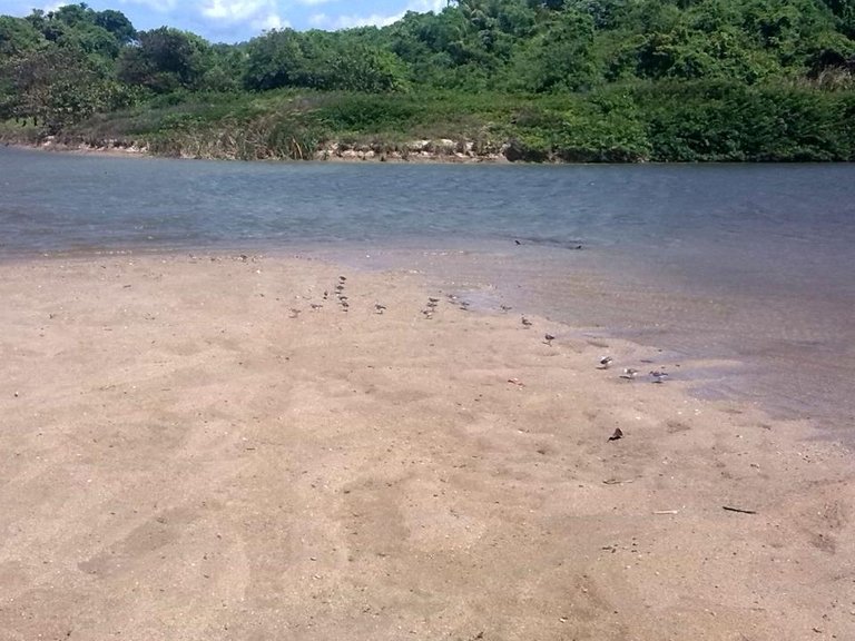 La_Sabana015.jpg