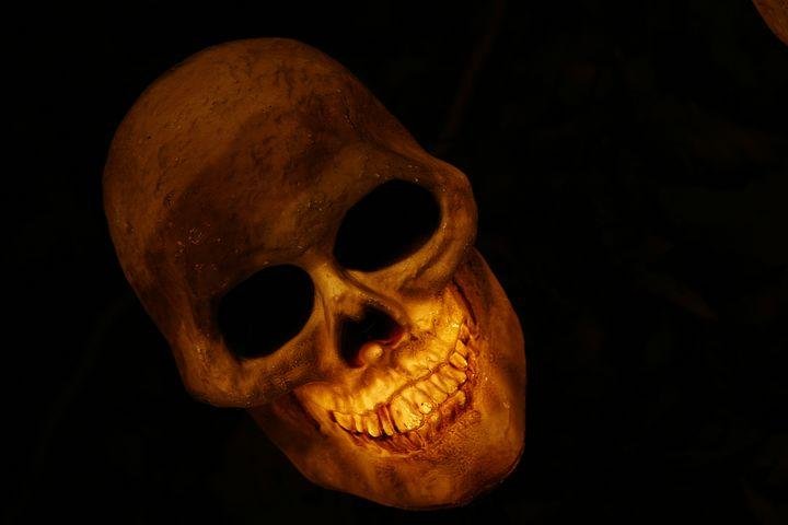 skull-570975__480.jpg