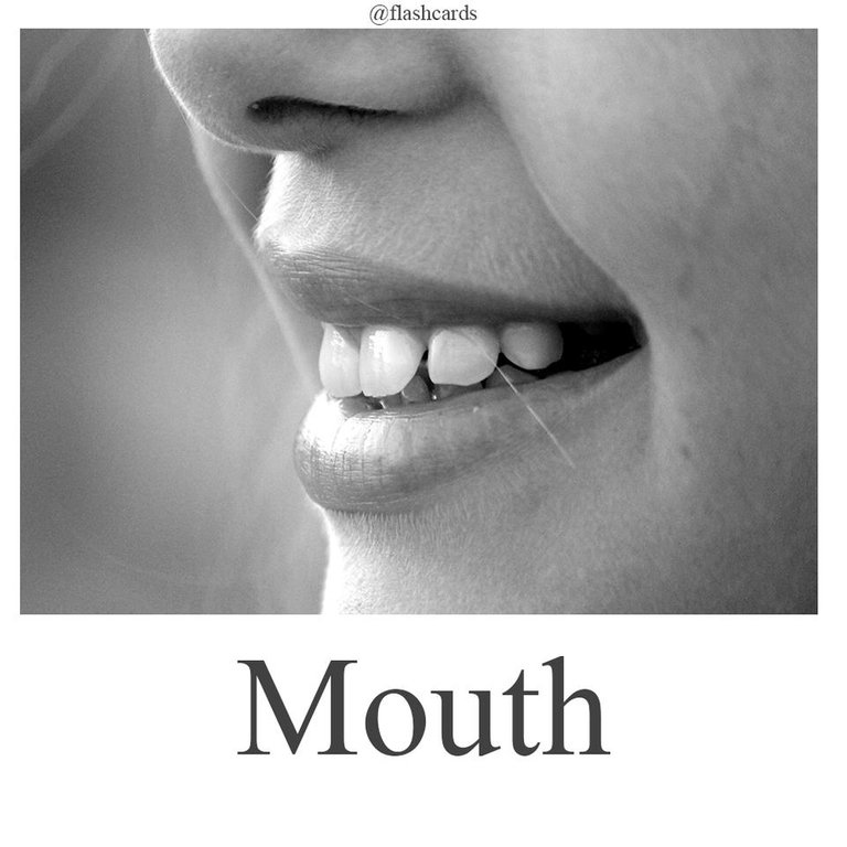 Mouth.jpg