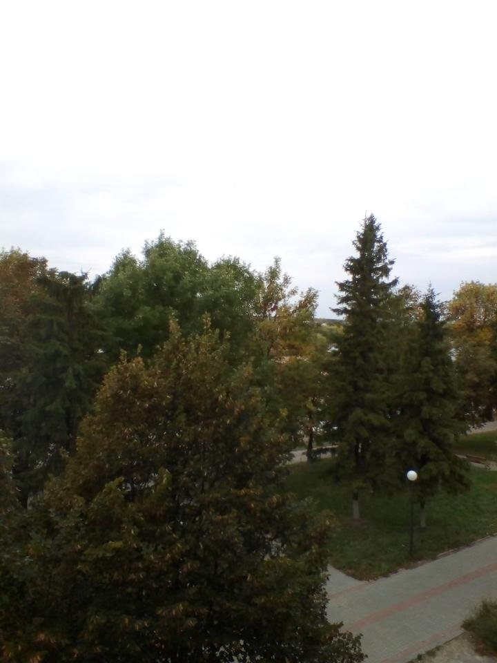 IMG_20181002_132258.jpg