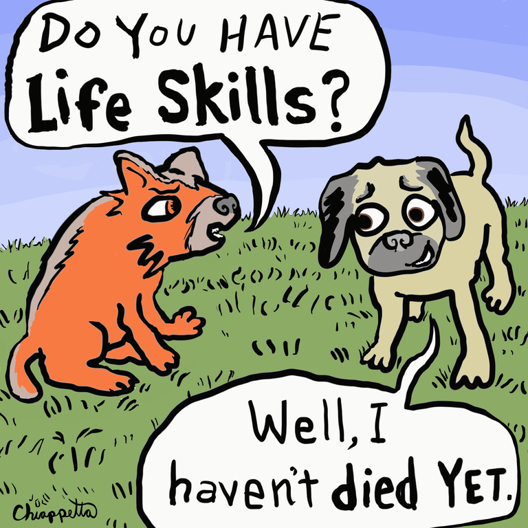 Life Skills