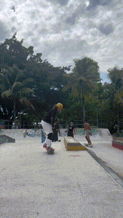 new trick - fs ollie