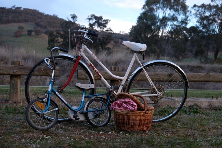 Bikes and picnic basket