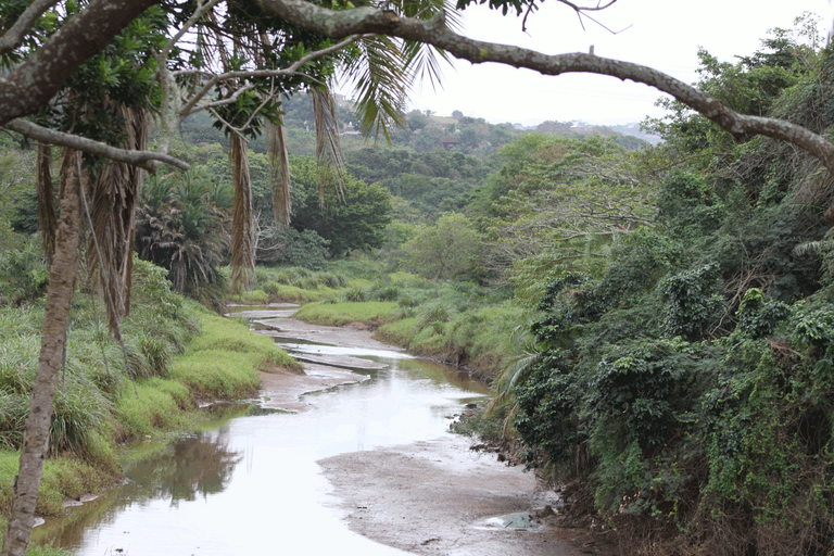 Amanzimtoti River