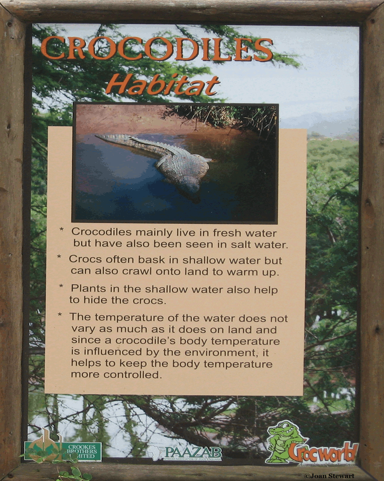 Crocodile Facts