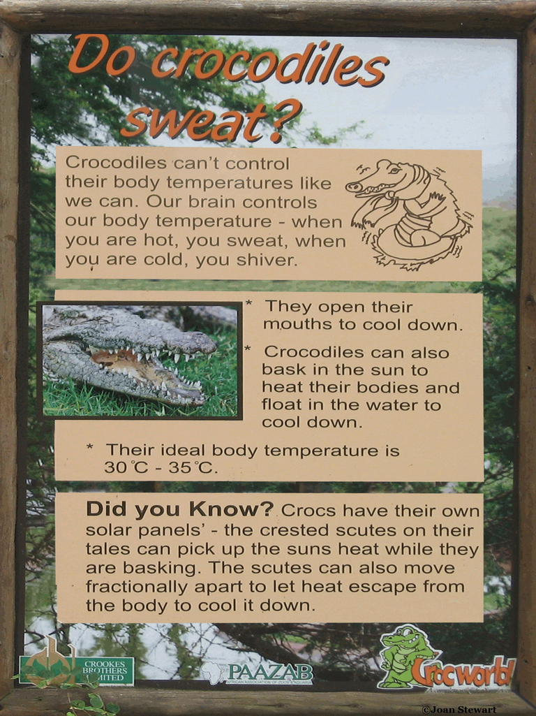 Crocodile Facts