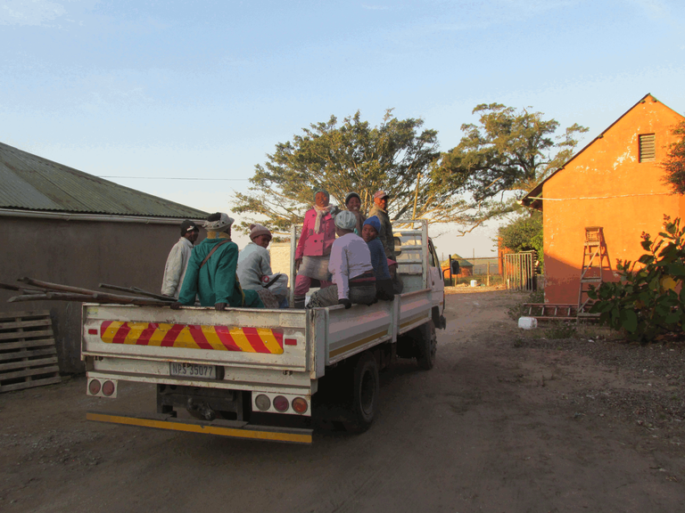 Farm workers