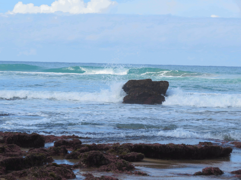 Macrophotography Beach Pools