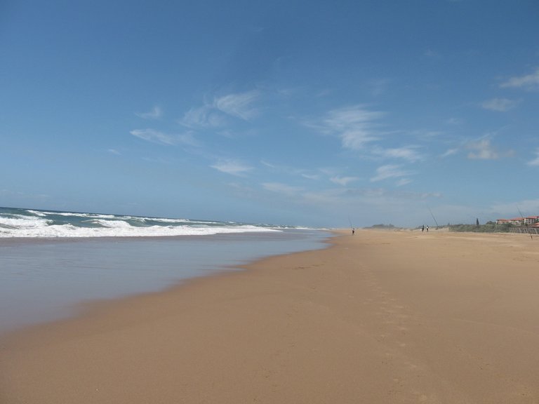 Beach Fishing