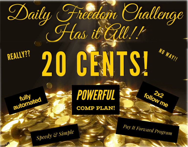 Daily Freedom Challenge