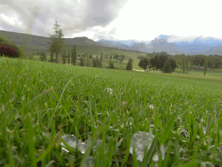 Hail Stones