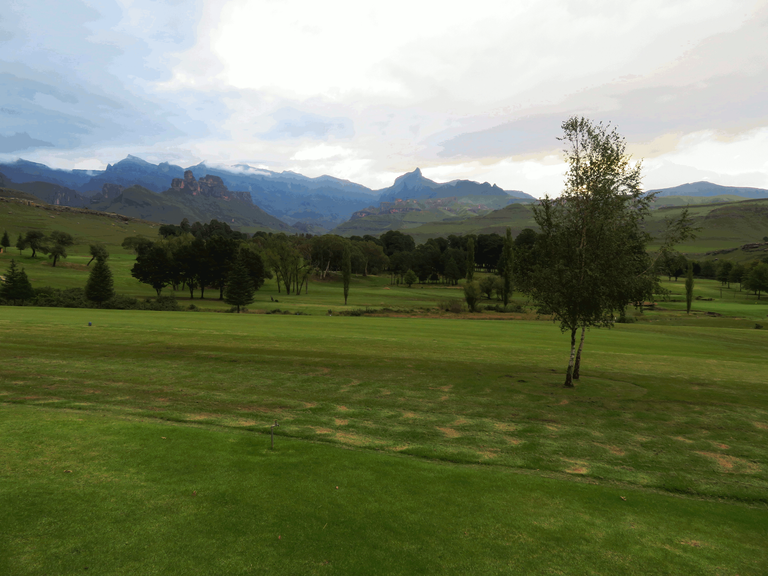 Drakensberg Green