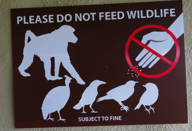 No feeding wildlife