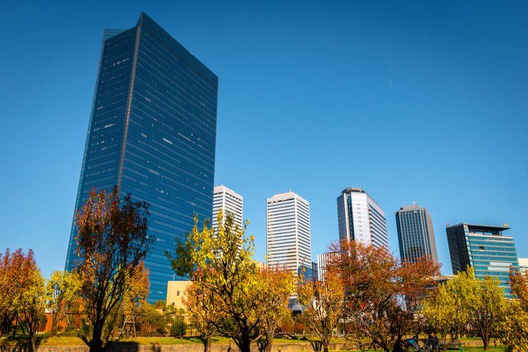 Autumn in Osaka