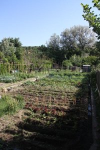 allotment