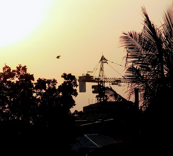 A Crane and a Crane?