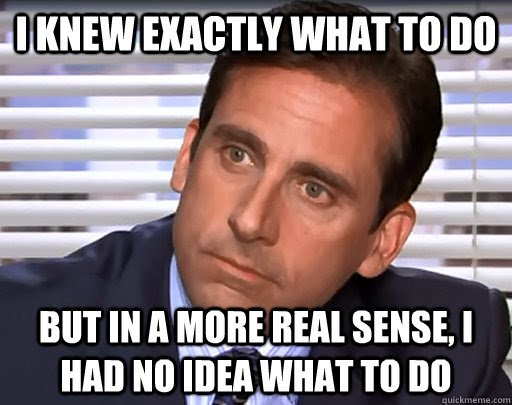 i knew exactly what to do but in a more real sense, I had no idea what to  do - Idiot Michael Scott - quickmeme