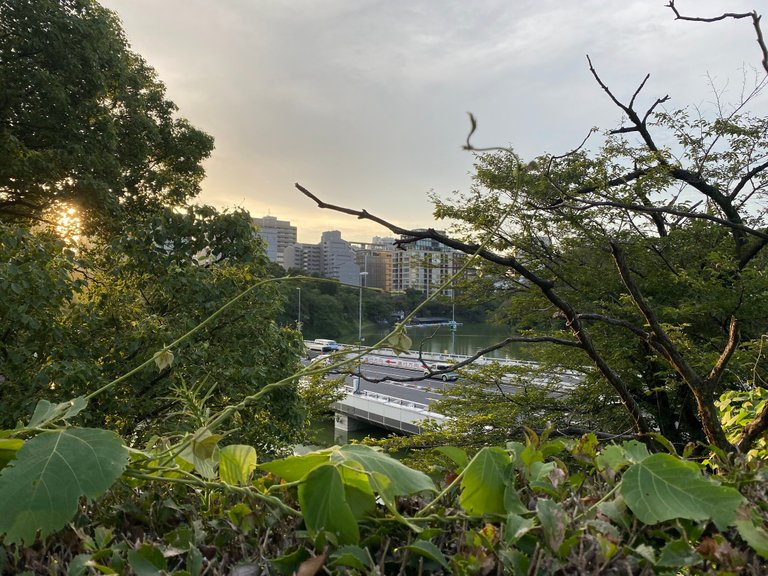 View from the walking trail, if you zoom in, you can see the boats to be used in the festival