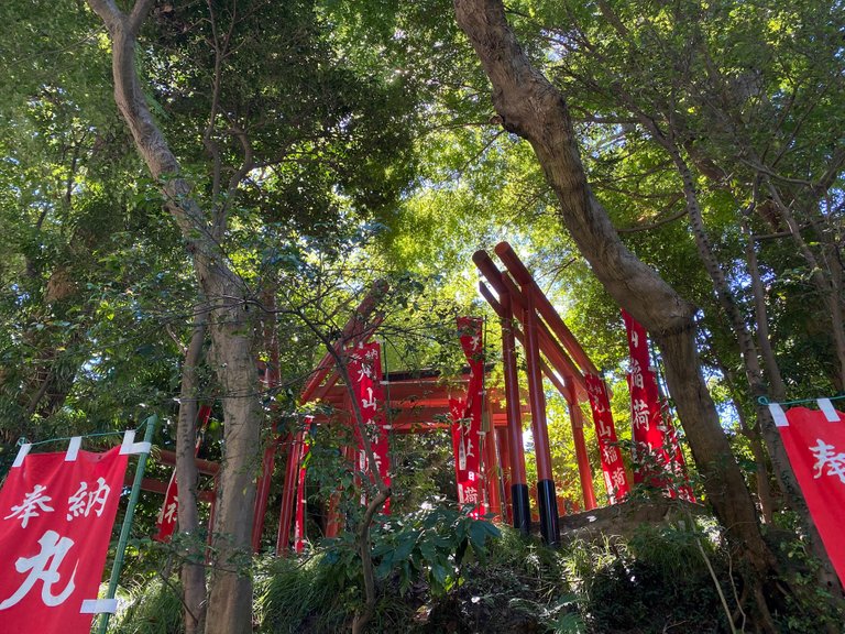 The torii seen from below