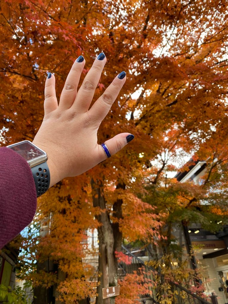 My nails for my Autumn trip