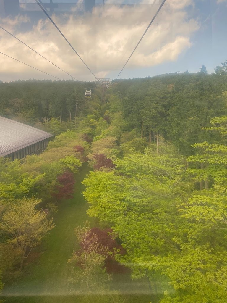 Look at these colors from inside the cable car