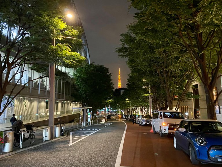 In the middle of the road with views of Tokyo Tower