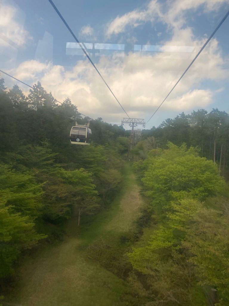 Luscious green view from the ride