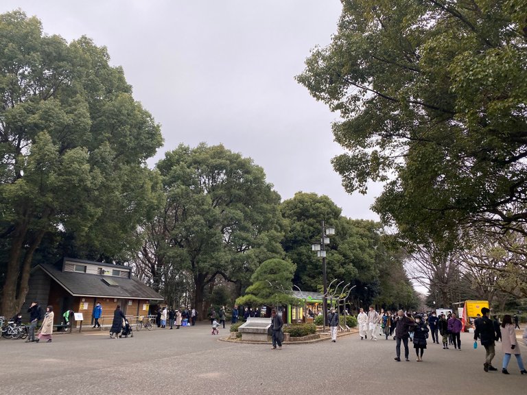 Entering Yoyogi Park