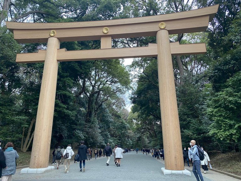 Torii to Meiji Jingu