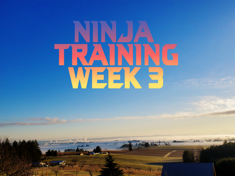 Training for Ninja Warrior – Week 3