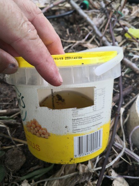 Cut holes around the container, near the top.