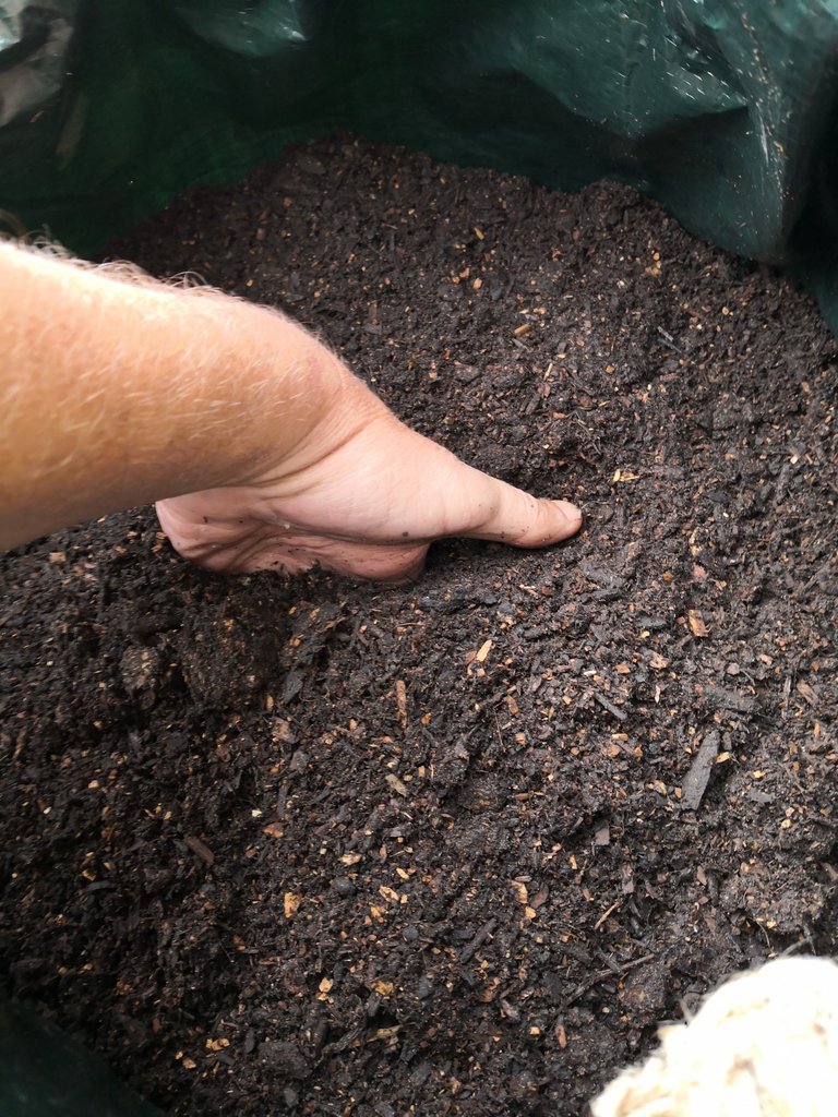 Put 10 cm of compost into the bottom of the bag.
