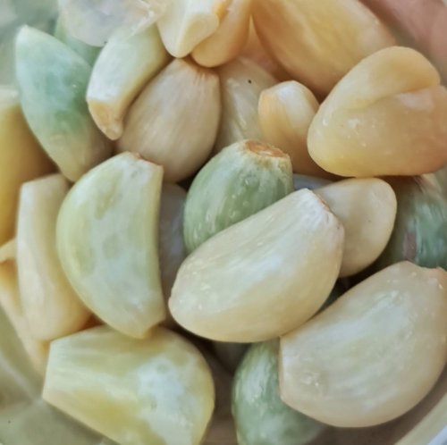 Don't worry if the Garlic in your ferment turns green. It's normal.