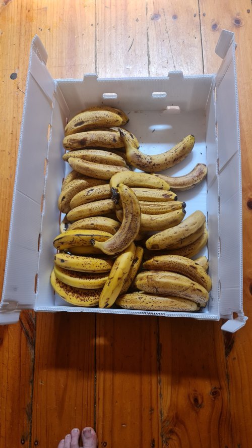 We scored 10 kilos of very cheap bananas – that’s a lot of skins!