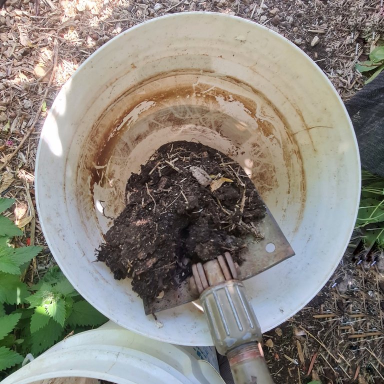 Add some soil.