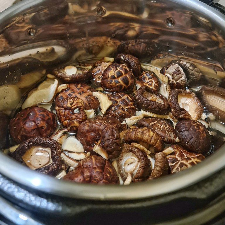 Shiitake ready for pressure cooking.