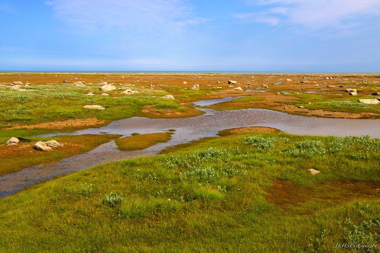 Shores of Hudson Bay! The view from Polar Bear Point (Hudson Bay Ontario).