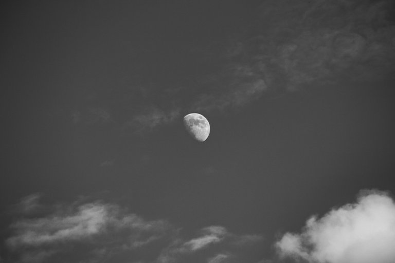 IMG_6353