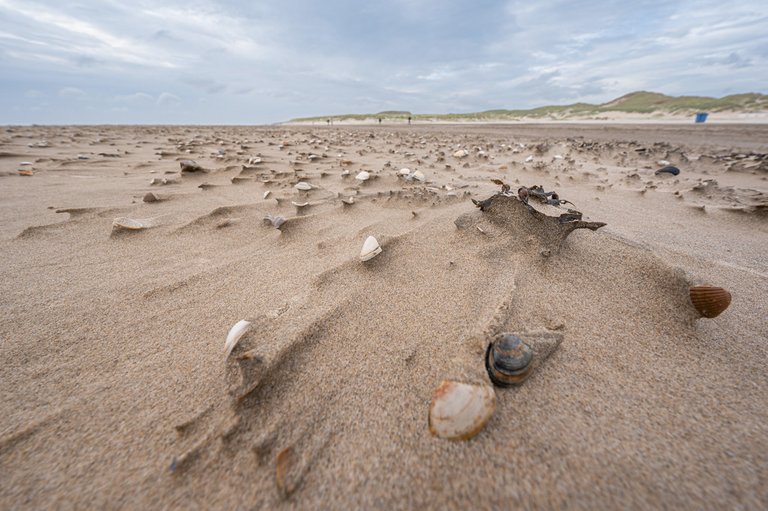 Structures in the sand