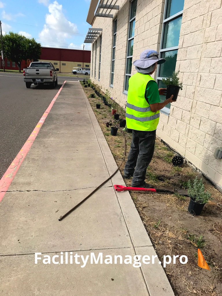 Plant Installation