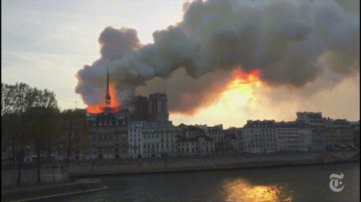 cock notre dame cathedral