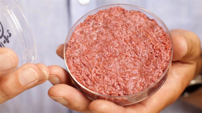 Image result for stem cells burger