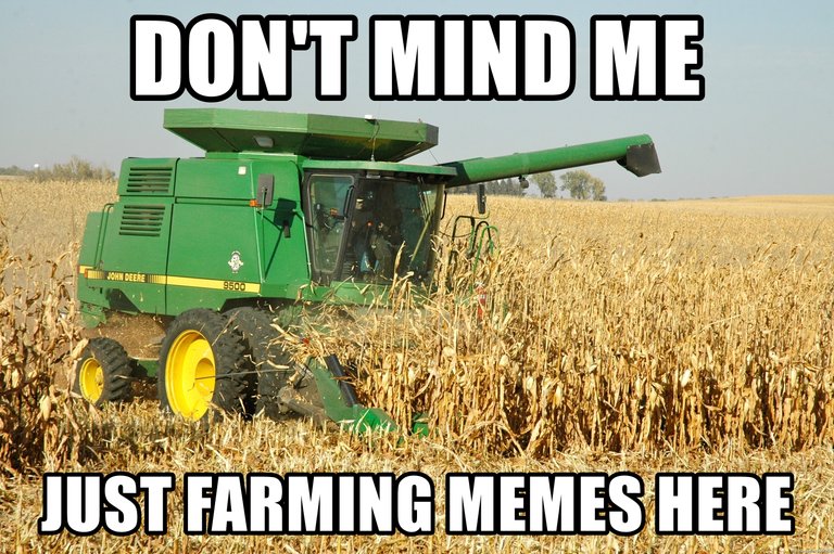 Planting Meme and Farming LOLZ