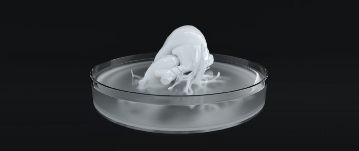Synthesized organs are being 3D printed widely