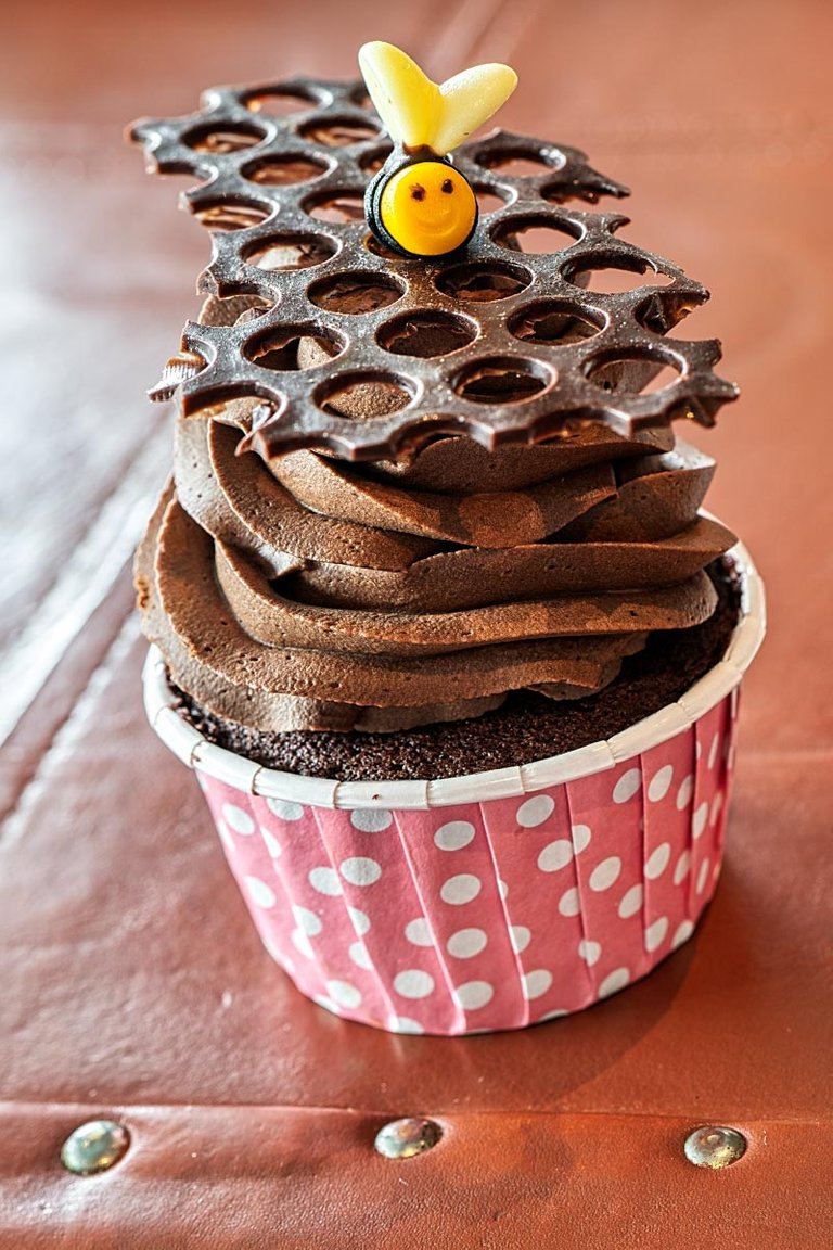 Chocolate cupcake