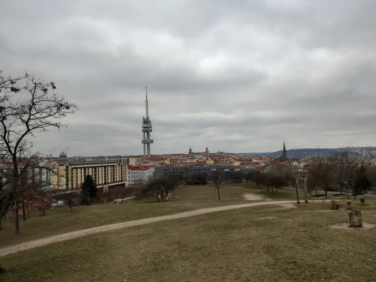 clrco8bx2068vljsz7zved5ai_IMAG2109.webp