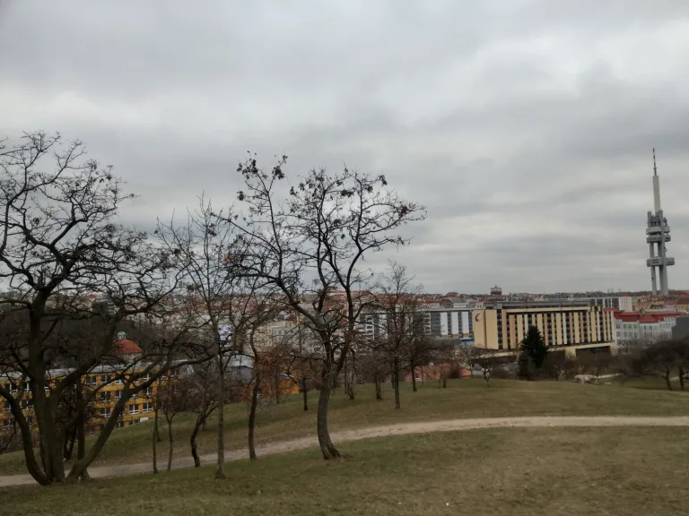 clrco8l9c068yljsz5siidsrq_IMAG2110.webp