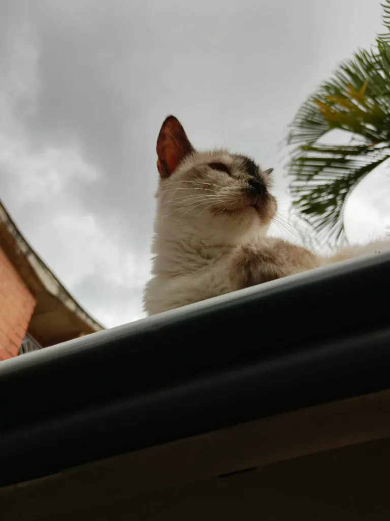 1jnthgq2YB5KdYmW_1000195836.webp