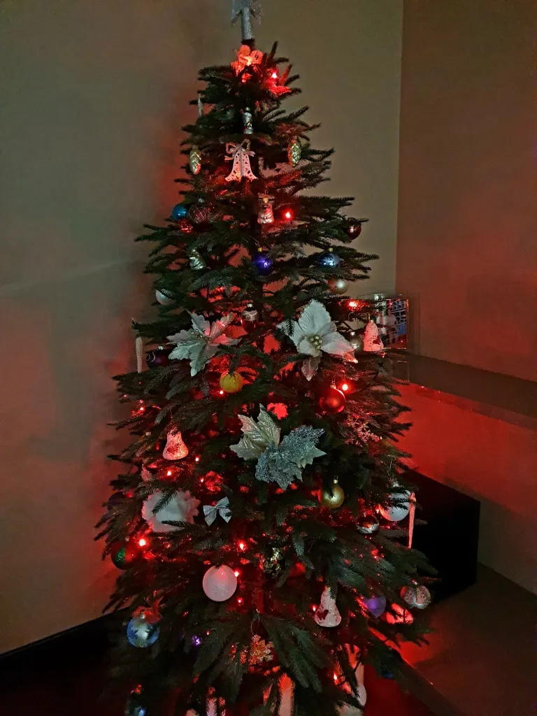 clptvcsrk03mg7lszbkxl4y3w_20231206_162313.webp